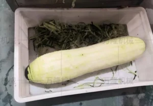 fruit & vegetable peeling machine