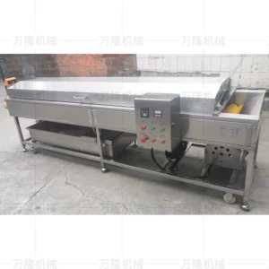 continuous fruit washing machine