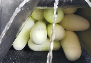 fruits washing and peeling machine