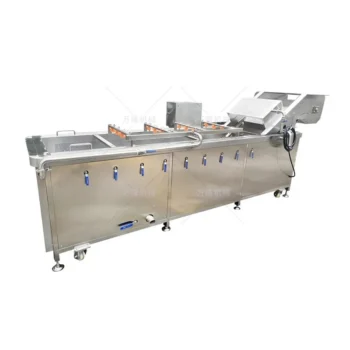 corn washing and blanching production line