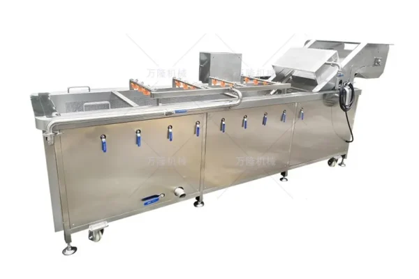 corn washing and blanching production line