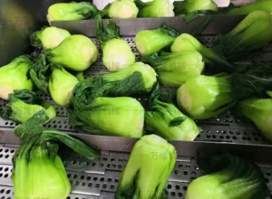 leafy vegetable blanching machine