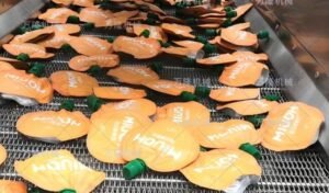 outer packaging drying machinery