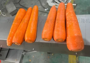 peeling machine for fruit