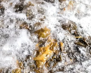 pickle bubble cleaning machine