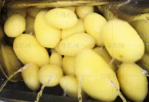 potato washing and peeling machine