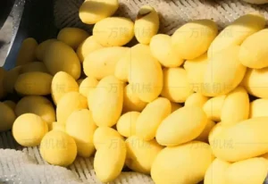 potato washing and peeling machine