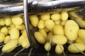potato washing peeling machine price