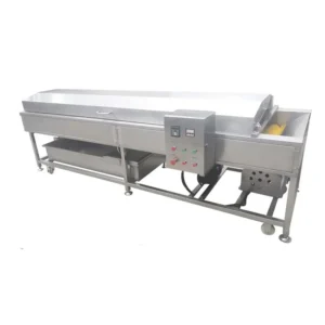 continuous fruit washing machine
