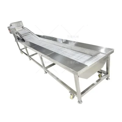 stainless steel chain conveyor
