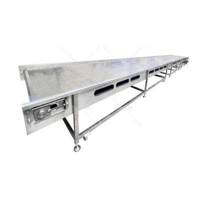 stainless steel chain conveyor machinery