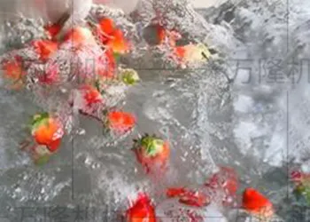 Continuous Fruit Washing Machine