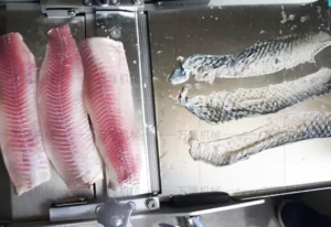 tilapia fish skinning machine