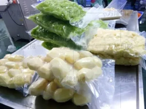 vacuum packaging machine