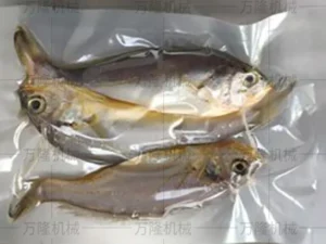 vacuum packaging machine for food