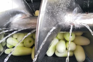 washing peeling machine