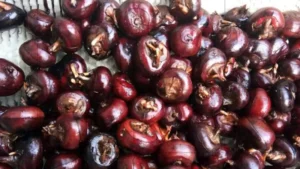 water chestnut cleaning peeling machine