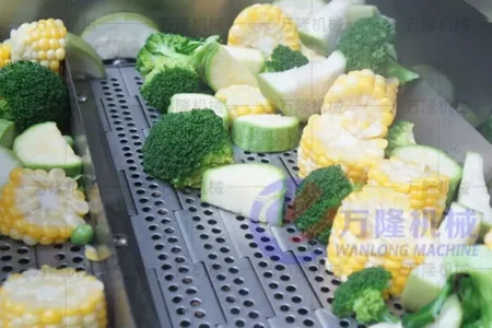 broccoli blanching machine