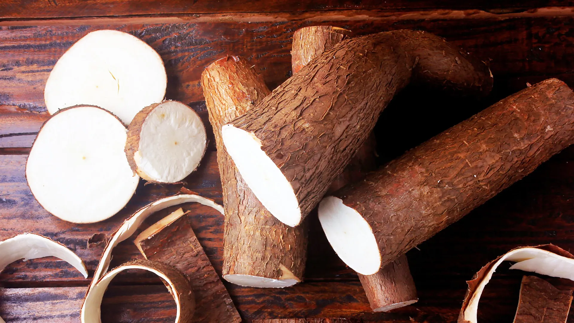 cassava processing machinery