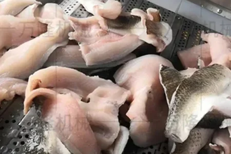 fish skin bubble cleaning machine