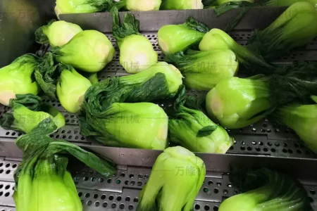 leafy vegetable blanching machine