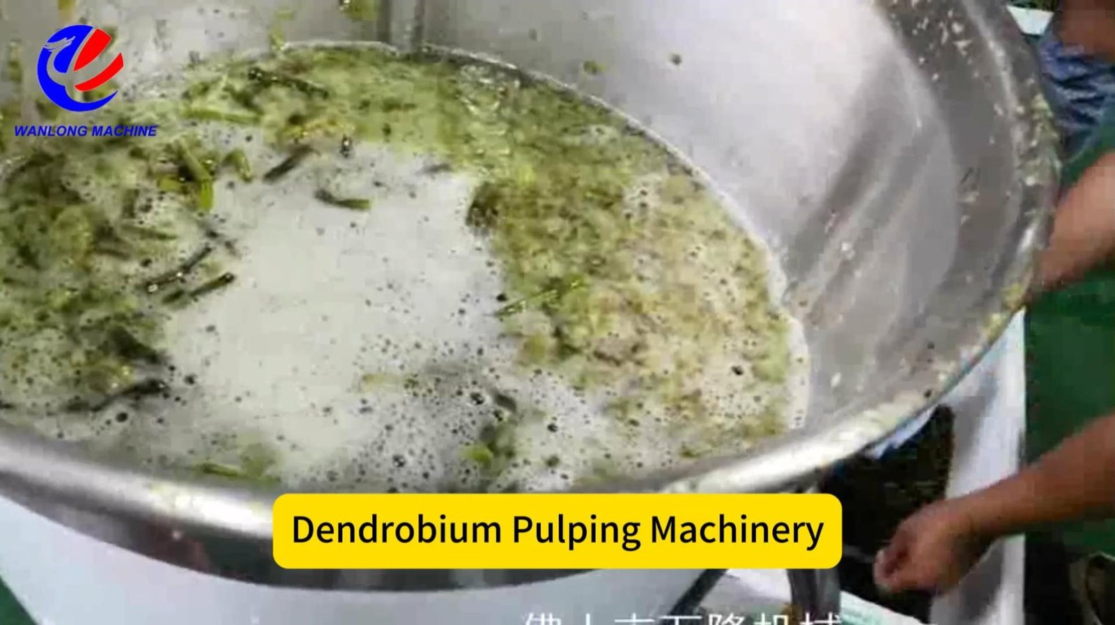 Dendrobium Pulping Machine 